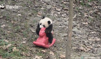 搞笑图片：另类翻车现场，让你赶走坏心情，你笑了吗