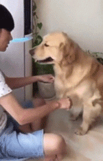 搞笑GIF动图：万万没想到