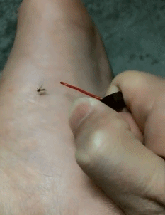 搞笑gif:潜质相当不错,欢迎你参加泰国“变性计”