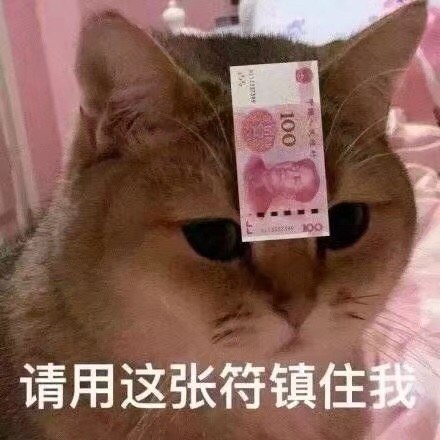 81bcf80dgy1g4tzegiljqj20c80c8jsk.jpg