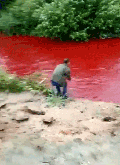 搞笑GIF动图段子:女子防狼术,这一招确实不错,适用于实战