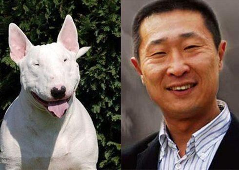 动物界也撞明星脸 林更新的最搞笑 最形象的果然是他