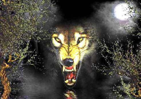 隋唐时有两支大军,旗帜上都有1个金色狼头,李世民是见一个灭一个_看看