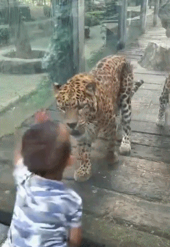 爆笑GIF图：护士姐姐反被人打针了？走路样子好奇怪