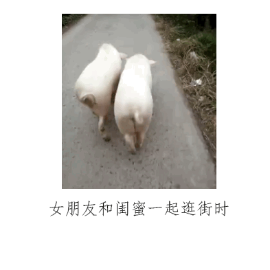 搞笑段子笑话幽默图片:今天下雪了,冻得直发抖