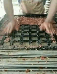 搞笑gif:潜质相当不错,欢迎你参加泰国“变性计”