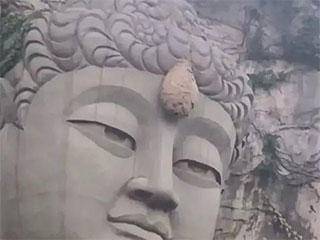 缩略图.jpg