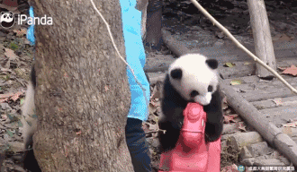 搞笑图片：另类翻车现场，让你赶走坏心情，你笑了吗