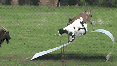 一组搞笑GIF进来放松一下笑一笑十年少