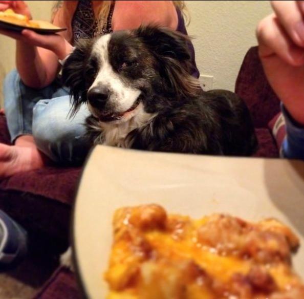 搞笑囧图内涵段子:终于懂了法拉利这设计的初衷了