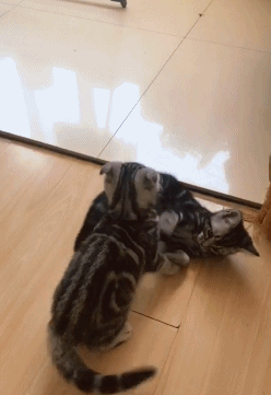 爆笑GIF图：护士姐姐反被人打针了？走路样子好奇怪