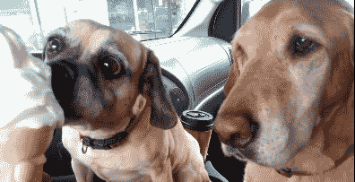 爆笑gif动图另类搞笑动态图片:20180124期(持续更新)