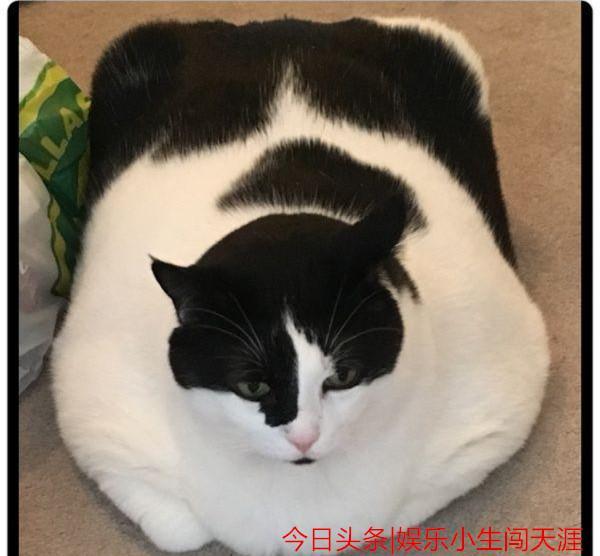 娱乐小生闯天涯搞笑GIF图片：搞笑我们是认真的第4期