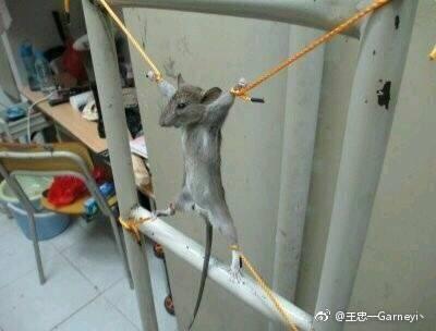 宿舍搞笑趣事合集：跟你说有女生要来，让你把衣服穿上也不穿