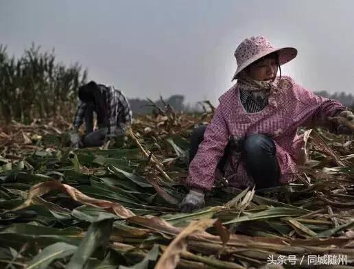 一个随州农民工写给留守媳妇的信遭曝光，看完后哭笑不得，太现实