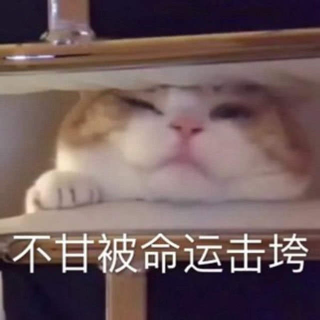 每日一笑：小时候家里穷没吃过海鲜，同学家做皮皮虾我去同学家玩