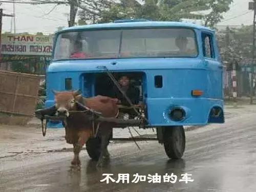搞笑GIF：​这是一对母女，你能看出来谁是妈妈吗