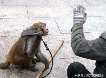 搞笑段子123笑话幽默图片：大叔，我能做你的女朋友吗？