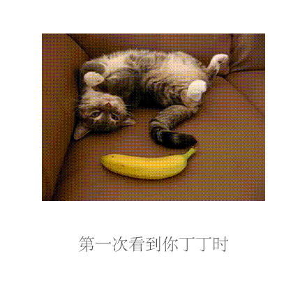 搞笑段子笑话幽默图片:今天下雪了,冻得直发抖