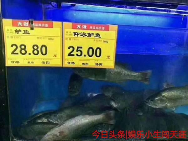 娱乐小生闯天涯搞笑GIF图片：搞笑我们是认真的第4期