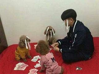缩略图.jpg