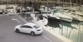 「搞笑Gif动图」滚吧，一山容不下两只乌龟的哦