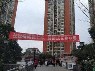 缩略图.jpg