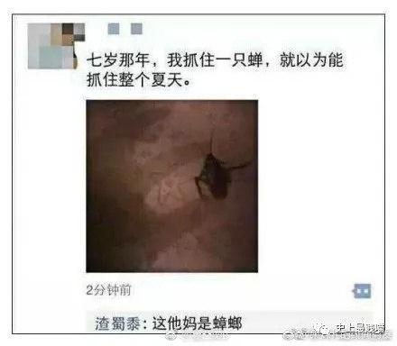 令人笑岔气的段子，真心看一次笑一次，发出猪的叫声！