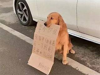 缩略图.jpg