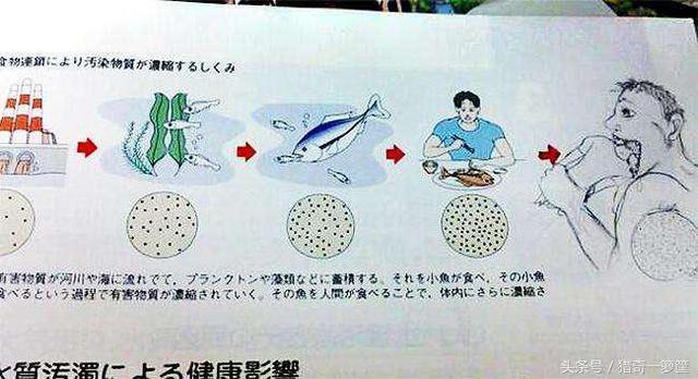 16张学生上课时太无聊在课本上恶搞的搞笑照片！