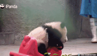 搞笑图片：另类翻车现场，让你赶走坏心情，你笑了吗