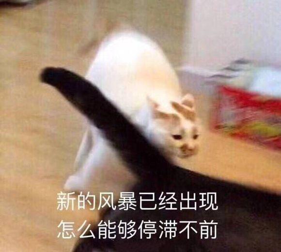 爆笑蠢萌段子，挑战你的笑点