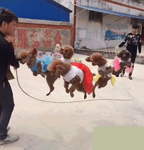 搞笑：其实这才是我的真面目