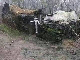 缩略图.jpg