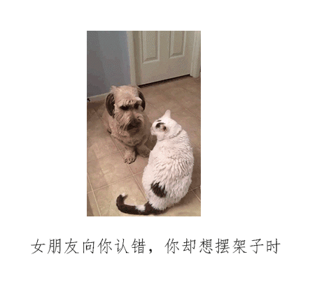 搞笑段子笑话幽默图片:今天下雪了,冻得直发抖