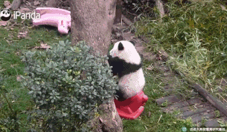 搞笑图片：另类翻车现场，让你赶走坏心情，你笑了吗