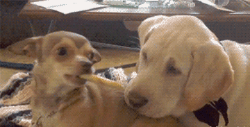 搞笑GIF动图：这身材，大叔看了表示把持不住啊