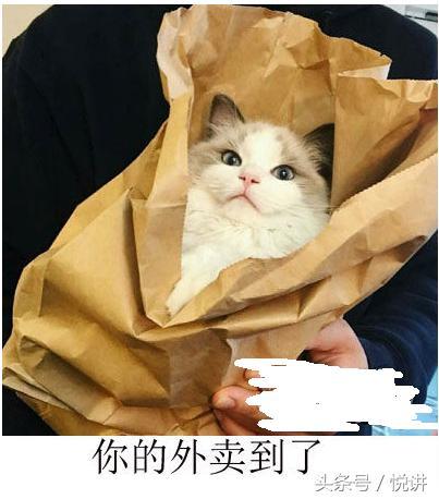 戏超多的搞笑外卖单，和小编一边吃着外卖一边笑吧！