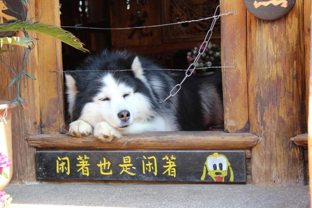 搞笑段子—教师：为何考得这么烂？