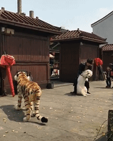 美女对瓶吹啤酒搞笑动态图！厉害了！哈哈哈！