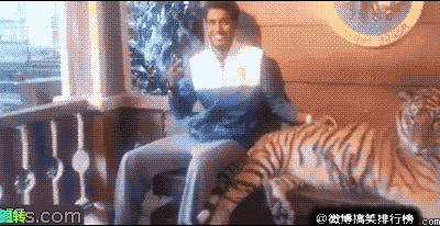 搞笑GIF动态图:论胸大的好处