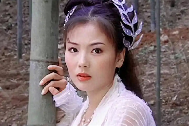 替夫还债4亿的刘涛，如今是有口皆碑的女明星，可也有对不起的人