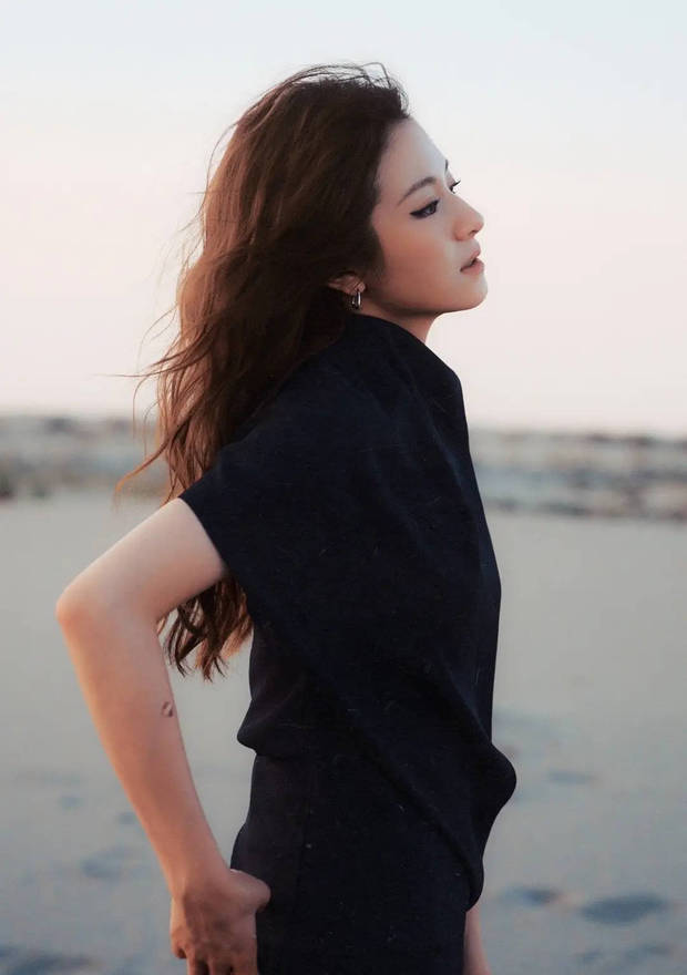 李兰迪侧颜精致。