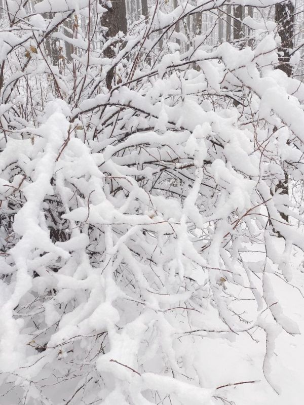 11月5日，石家庄市平山县驼梁风景区云顶草原迎来今年第一场雪。河北日报通讯员戎喜民摄