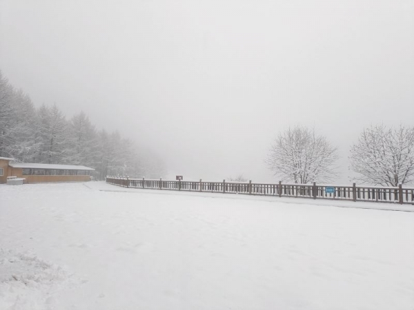 11月5日，石家庄市平山县驼梁风景区云顶草原迎来今年第一场雪。河北日报通讯员戎喜民摄