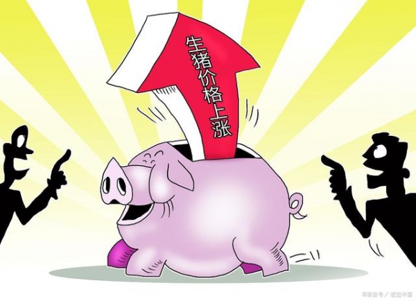 猪价、猪病双夹击！仔猪市场“颓势”，养殖户仍将面临2大难题！