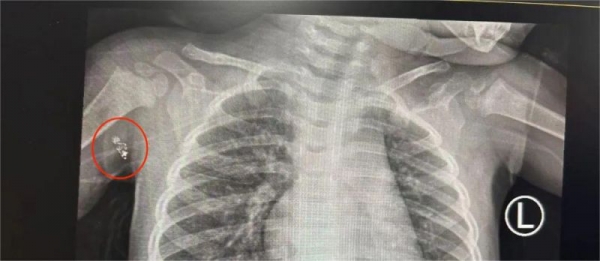 微信图片_20231124172348