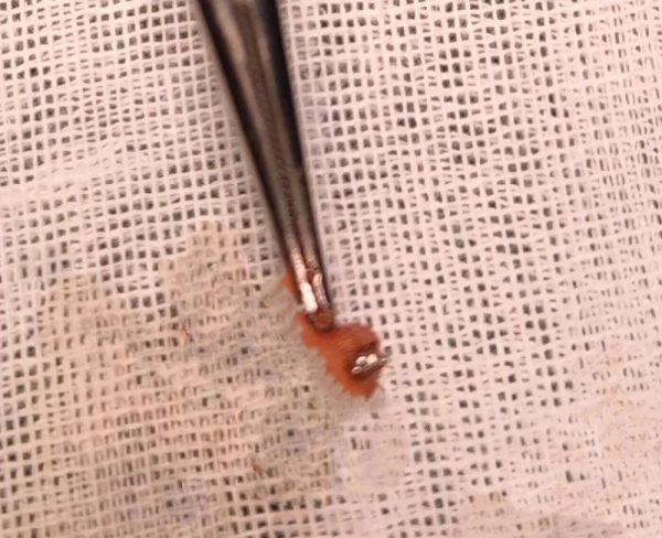 微信图片_20231124172351