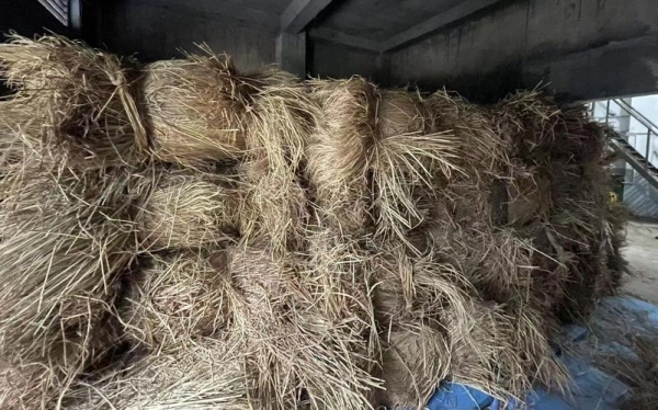 令人气愤家长曝光学生宿舍床垫里都是稻草