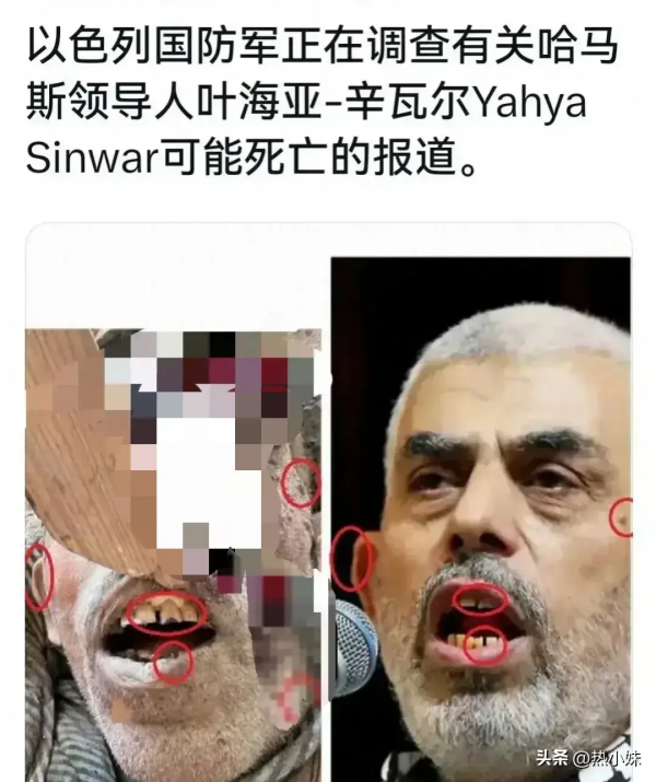 死前反抗画面曝光！哈马斯领导人辛瓦尔低头坐沙发上 向以军无人机投掷棍子 0611